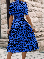 Leopard Print V-Neck Dress