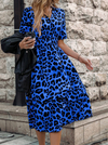 Leopard Print V-Neck Dress