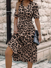 Leopard Print V-Neck Dress