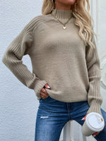 Knitted Turtleneck Pullover Jumper