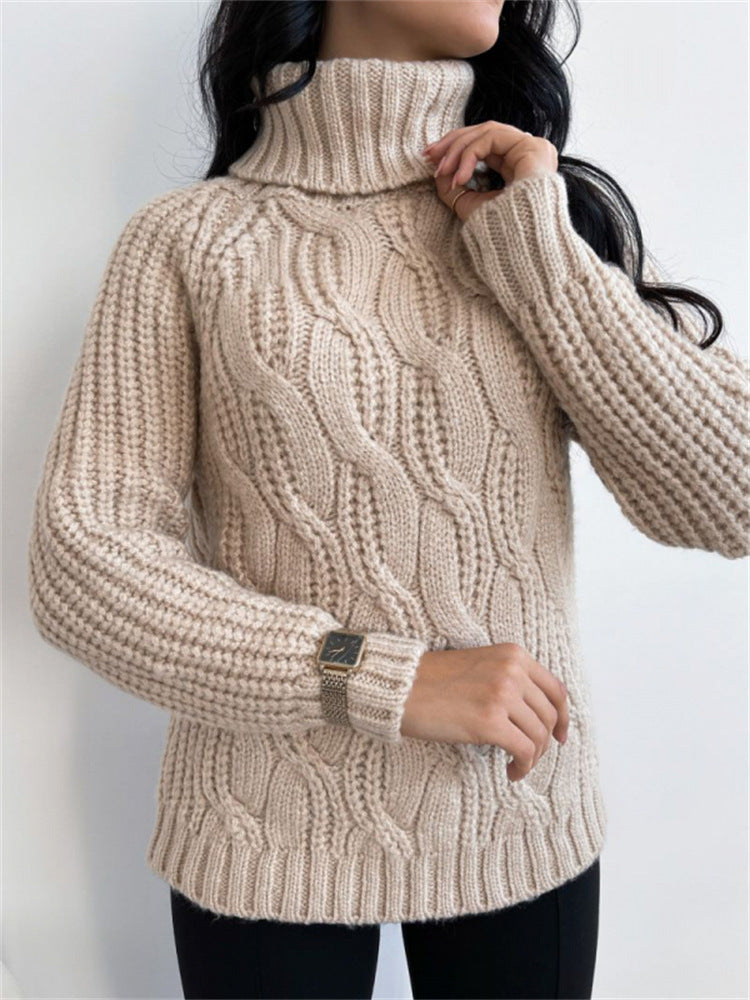 Turtleneck Knitted Sweater