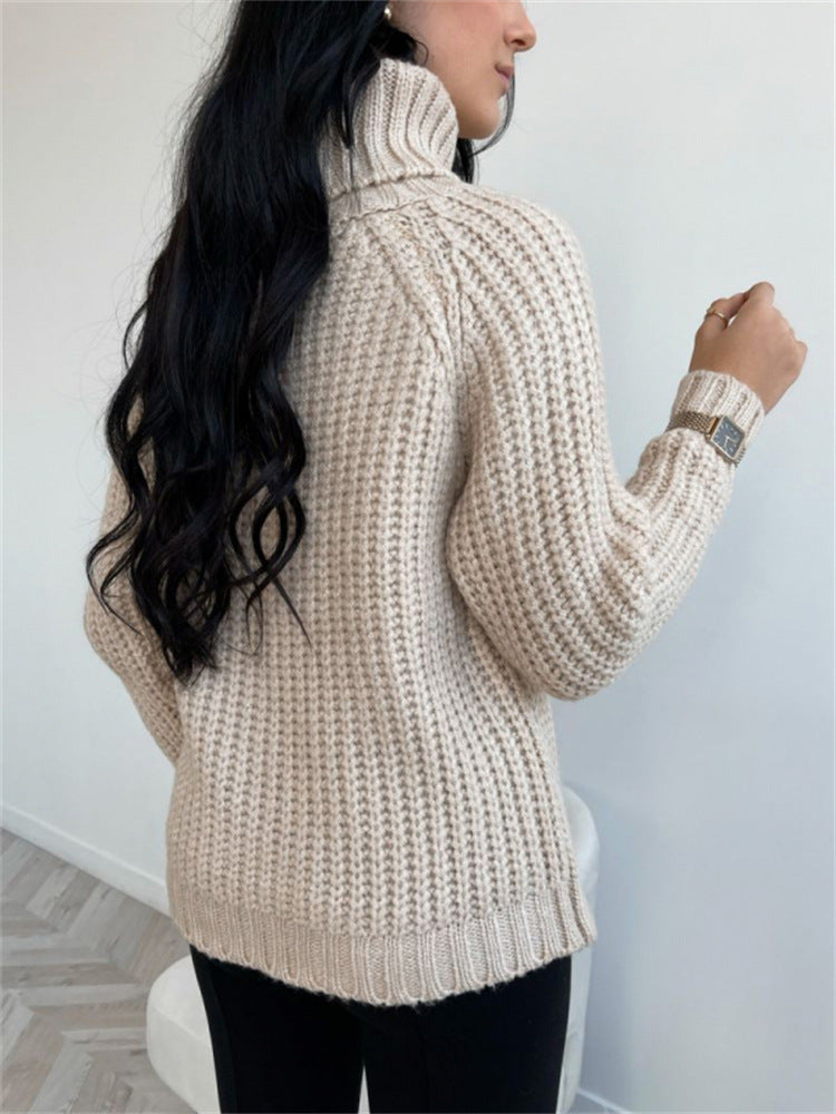 Turtleneck Knitted Sweater